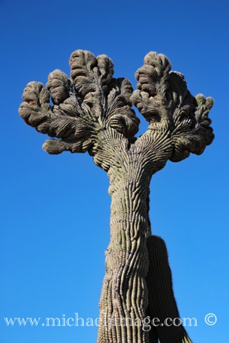 Granite Mountain Park, Scottsdale, AZ.